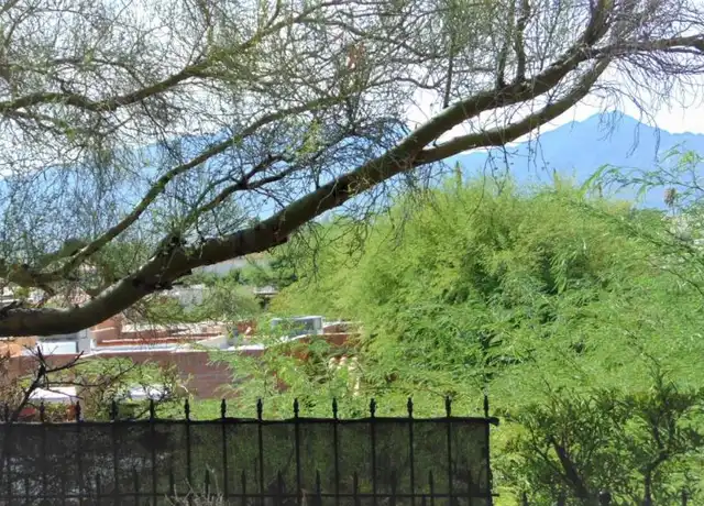 Property at 2501 S Calle Cervantes, Green Valley, AZ, 85622, 1 bed, 1 bath, [object Object]