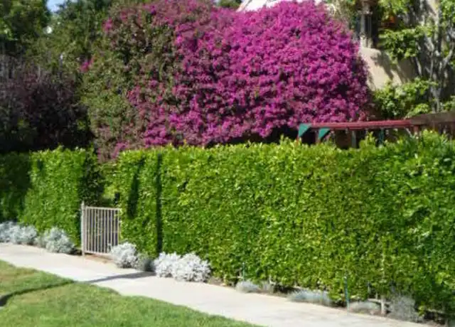 Property at 304 S Reeves Dr Unit B, Beverly Hills, CA, 90212, 1 bed, 1 bath, [object Object]
