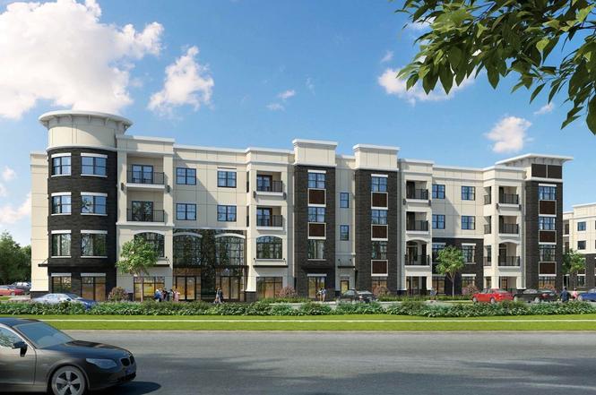 the ivy apartments houston