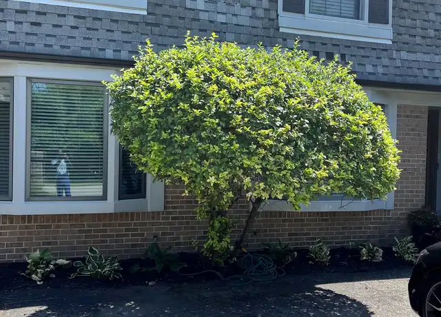 Property at 27450 El Dorado Pl, Lathrup Village, MI, 48076, 3 beds, 2.5 baths, [object Object]