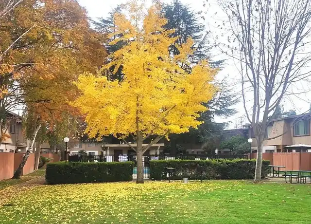 Property at Howe Manor East Apartments - 2251 Northrop Ave, Sacramento, CA, 95825, 1 bed, 1 bath, [object Object]