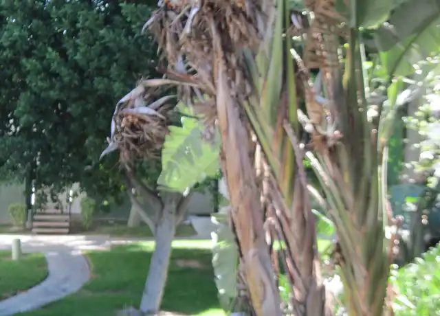 Property at 1735 Washington St Unit G25, Colton, CA, 92324, 2 beds, 2 baths, [object Object]