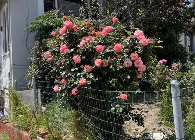 Property at 6127 Majestic Ave, Oakland, CA, 94605, 2 beds, 1 bath, [object Object]