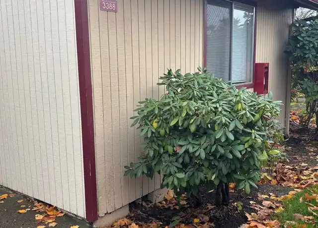 Property at 3300 Hollywood Dr NE Unit 3388, Salem, OR, 97305, 1 bed, 1 bath, [object Object]