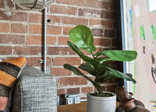 Property at 527 Molino St #210, Los Angeles, CA, 90013, 1 bed, 1 bath, [object Object]