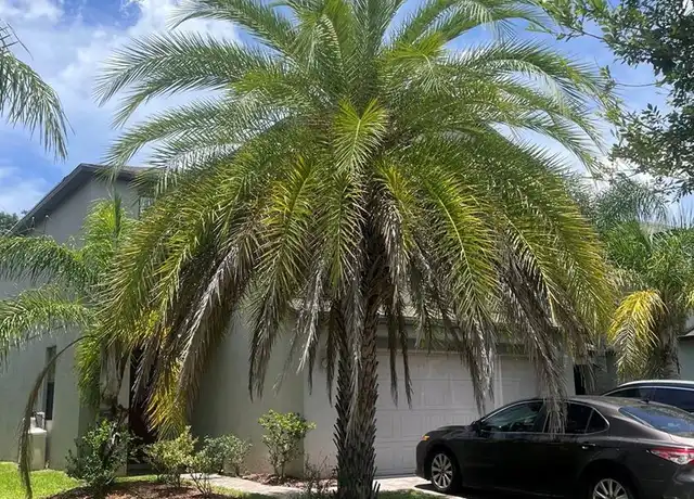 Property at 20042 Date Palm Way, Tampa, FL, 33647, 3 beds, 2.5 baths, [object Object]