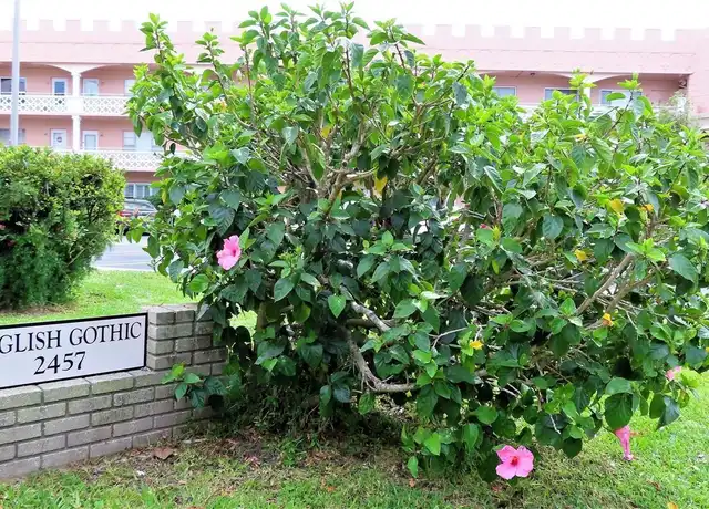 Property at 2457 Ecuadorian Way #85, Clearwater, FL, 33763, 2 beds, 2 baths, [object Object]