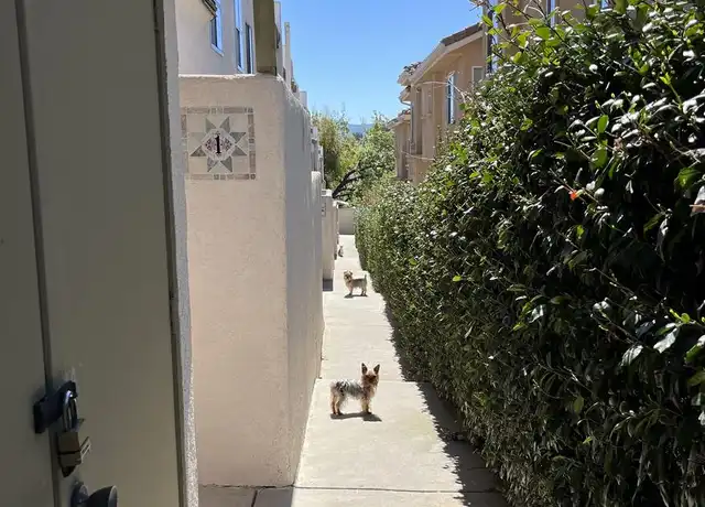 Property at 5320 Colodny Dr #5, Agoura Hills, CA, 91301, 3 beds, 2 baths, [object Object]