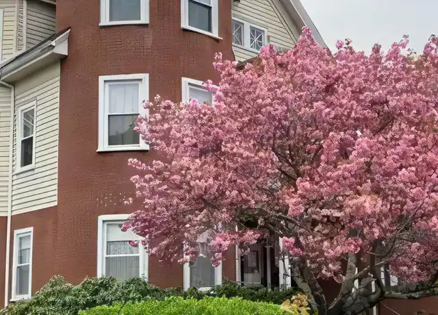 Property at 48 Seaver St, North Easton, MA, 02356, 2 beds, 1 bath, [object Object]