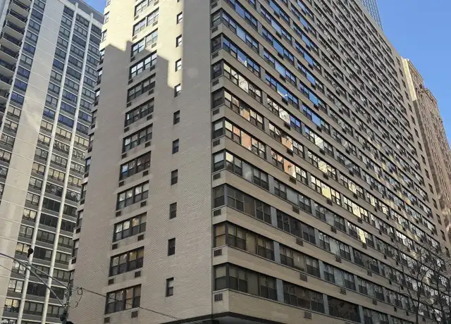 Property at 850 N Dewitt Pl, Chicago, IL, 60611, 1 bed, 1 bath, [object Object]