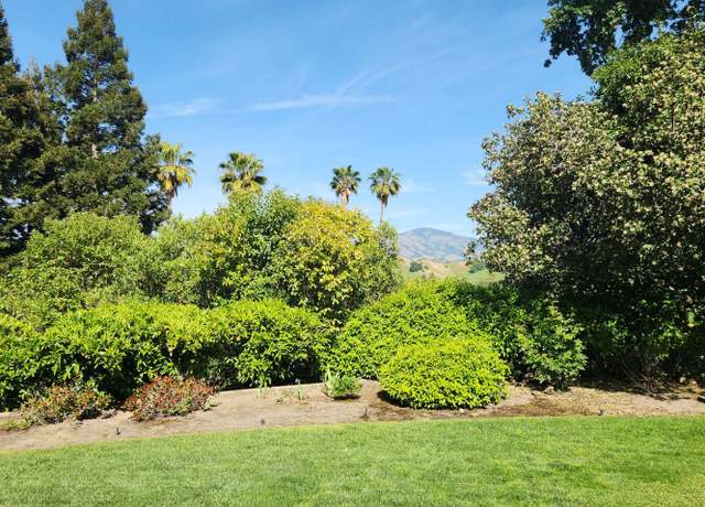 Photo of 105 Bando Ct, Alamo, CA 94507