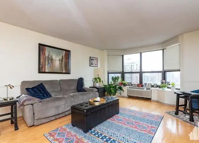 Property at 899 S Plymouth Ct, Chicago, IL, 60605, 1 bed, 1 bath, [object Object]