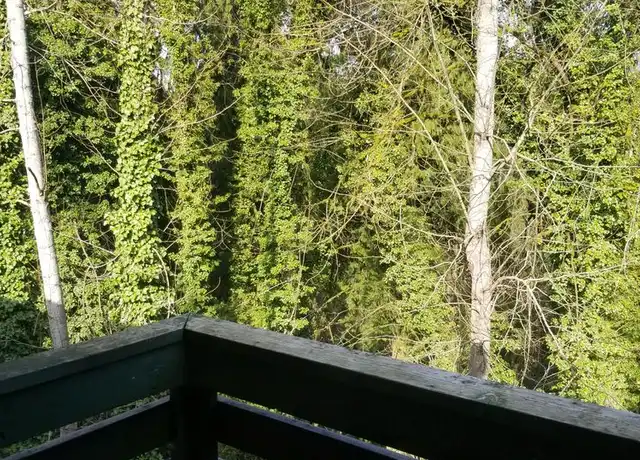 Property at 14155 S Beavercreek Rd Unit 204, Oregon City, OR, 97045, 1 bed, 1 bath, [object Object]