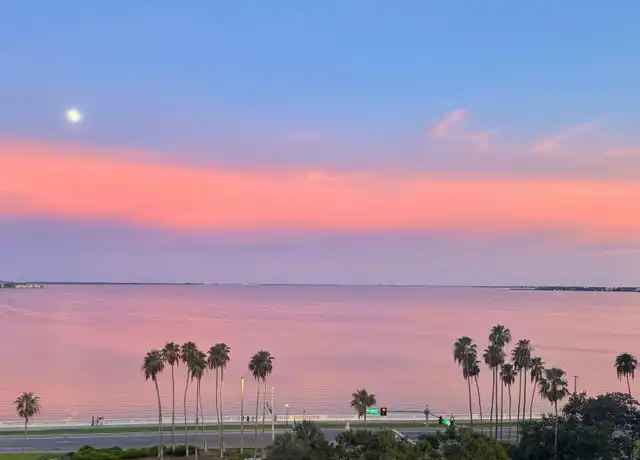 Property at 2109 Bayshore Blvd #801, Tampa, FL, 33606, 3 beds, 2 baths, [object Object]