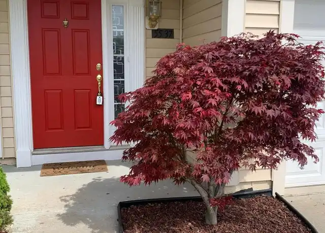 Property at 5537 Upper Mill Ter N, Frederick, MD, 21703, 3 beds, 3.5 baths, [object Object]