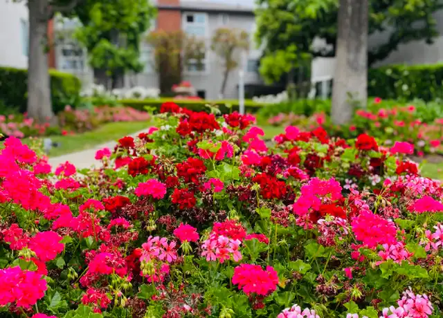 Property at 1696 Amberwood Dr Unit D, South Pasadena, CA, 91030, 1 bed, 1 bath, [object Object]