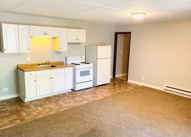 Photo of 1005 State St Unit 100301, Lemont, IL 60439