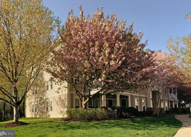 Property at 13103 Millhaven Pl Unit 8E, Germantown, MD, 20874, 2 beds, 2 baths, [object Object]