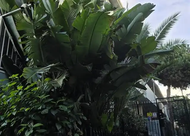 Property at 350 S Hobart Blvd Unit 3, Los Angeles, CA, 90020, 1 bed, 1 bath, [object Object]