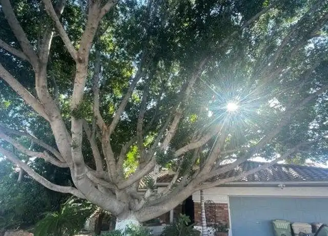 Property at 6049 W Grandview Rd, Glendale, AZ, 85306, 3 beds, 2 baths, [object Object]