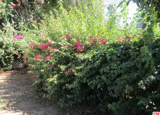 Property at 6837 Lubao Ave, Winnetka, CA, 91306, 2 beds, 1 bath, [object Object]
