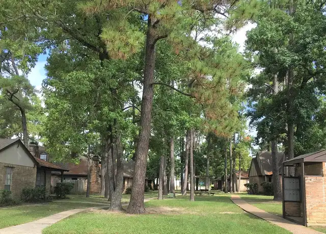 Property at Pinewood Townhomes - 811 Interstate 45, Conroe, TX, 77301, 2-3 beds, 1-2 bath, [object Object]