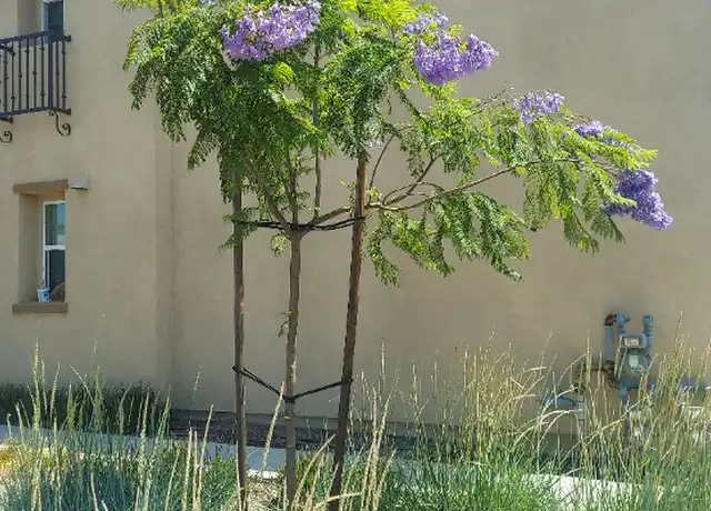 Property at 1713 Cedar Tree Pl, Upland, CA, 91784, 1 bed, 1 bath, [object Object]