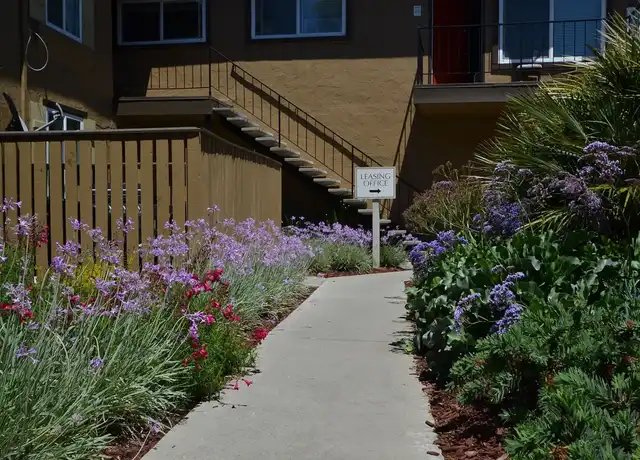 Property at Viva Apartments - 1118 Starbird Cir, San Jose, CA, 95117, 1 bed, 1 bath, [object Object]