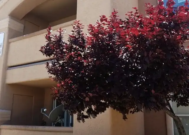 Property at 8101 W Flamingo Rd #2060, Las Vegas, NV, 89147, 1 bed, 1 bath, [object Object]