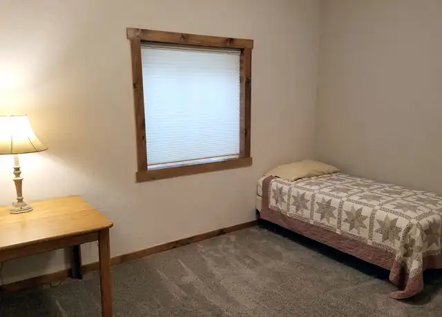 Property at 231 Lagoon Ln Unit Basement Bedroom, Silverthorne, CO, 80498, 1 bed, 1 bath, [object Object]