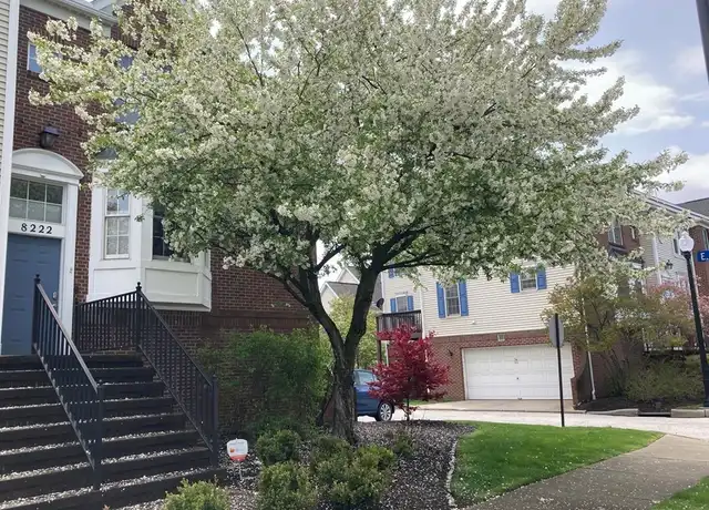 Property at 8222 Chester Pkwy, Cleveland, OH, 44103, 4 beds, 3 baths, [object Object]