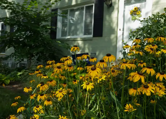 Property at 1729 N Cliff St, Alexandria, VA, 22301, 2 beds, 2 baths, [object Object]
