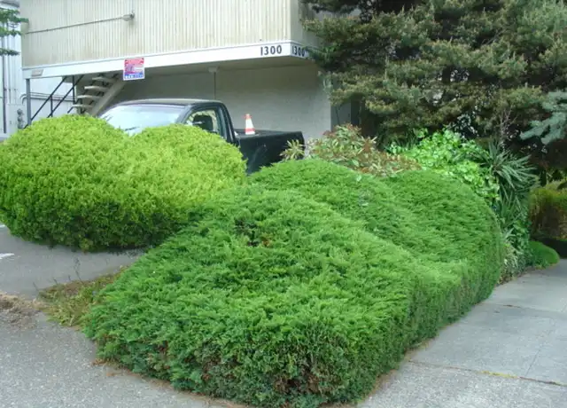 Property at 1300 6th Ave N Unit A, Seattle, WA, 98109, 0 beds, 1 bath, [object Object]