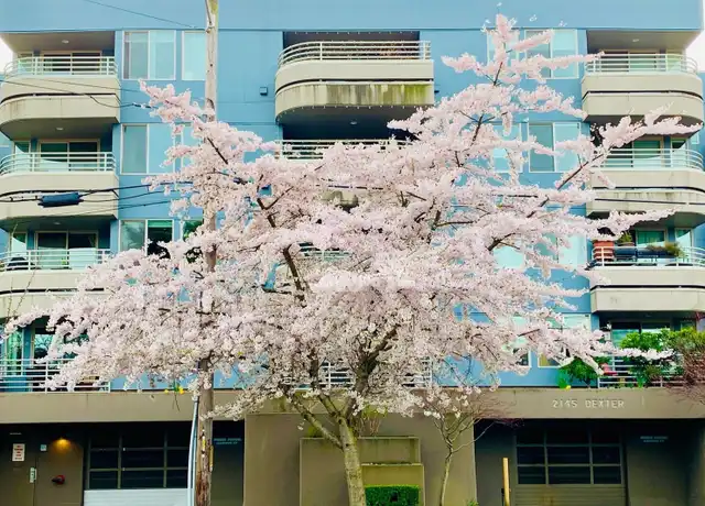 Property at 2145 Dexter Ave N #201, Seattle, WA, 98109, 2 beds, 1 bath, [object Object]