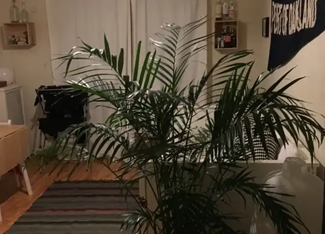 Property at 633 W Deming Pl Unit 3A, Chicago, IL, 60614, 0 beds, 1 bath, [object Object]