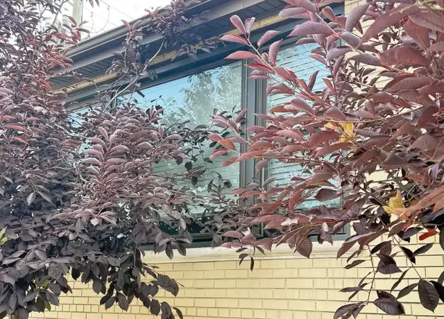 Property at 4201 W 55th St Unit 1, Chicago, IL, 60632, 3 beds, 1 bath, [object Object]