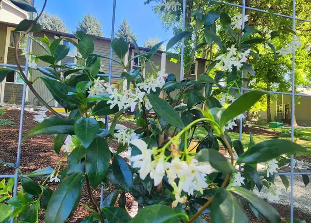Property at 11050 SW Gaarde St Unit 380-05, Portland, OR, 97224, 2 beds, 1 bath, [object Object]