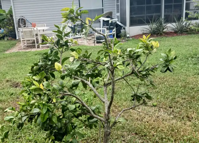 Property at 5030 El Destino Dr, Leesburg, FL, 34748, 2 beds, 2 baths, [object Object]