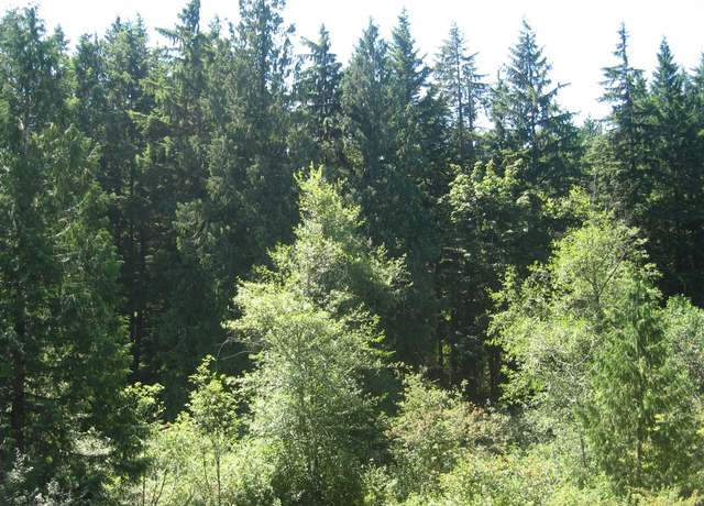 Photo of 16311 209th Ave NE Unit A, Woodinville, WA 98077