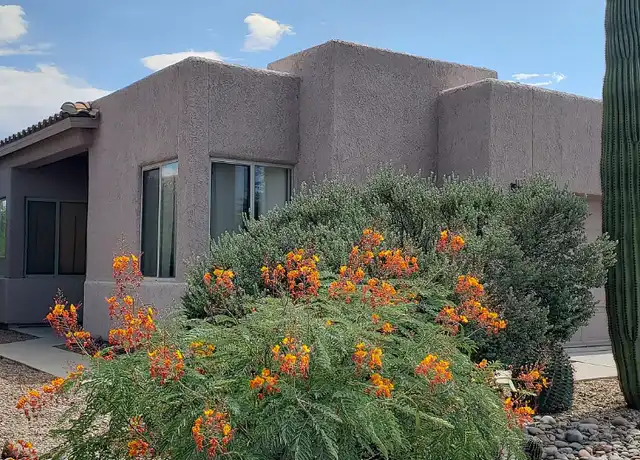 Property at 1853 W Waterleaf Dr, Tucson, AZ, 85704, 3 beds, 2 baths, [object Object]