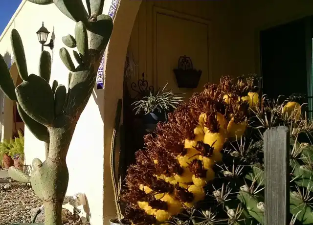 Property at River Garden - 600 E Bromley St, Tucson, AZ, 85704, 2 beds, 1 bath, [object Object]