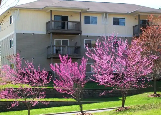 Property at 303 Smith Level Rd Unit B24, Chapel Hill, NC, 27516, 1 bed, 1 bath, [object Object]