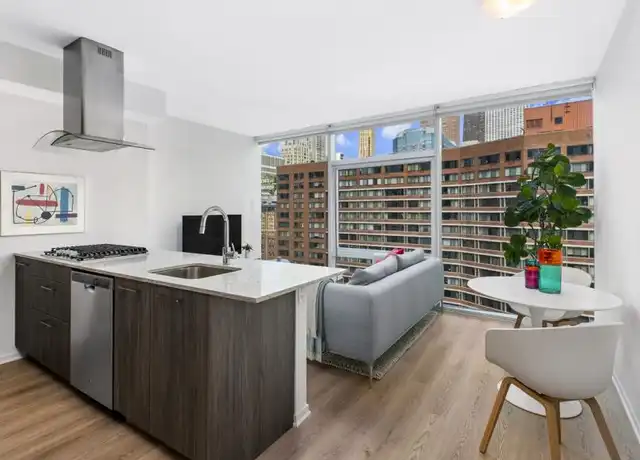 Property at 218 E Illinois St, Chicago, IL, 60611, 1 bed, 1 bath, [object Object]