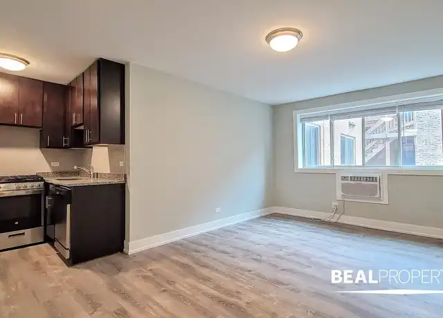 Property at 530 W Surf St, Chicago, IL, 60657, 0-1 beds, 1 bath, [object Object]