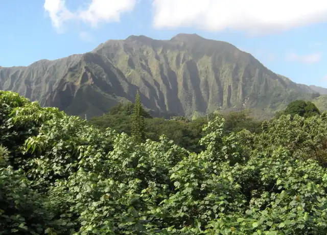 Property at 46-267 Kahuhipa St Unit E210, Kaneohe, HI, 96744, 2 beds, 1 bath, [object Object]