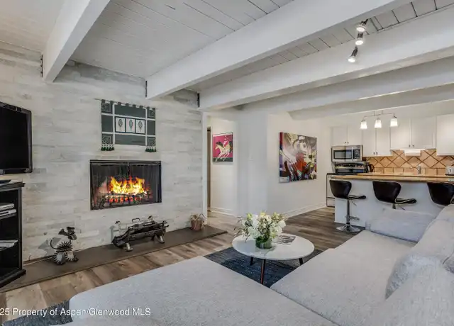 Property at 731 E Durant Ave #3, Aspen, CO, 81611, 2 beds, 2 baths, [object Object]