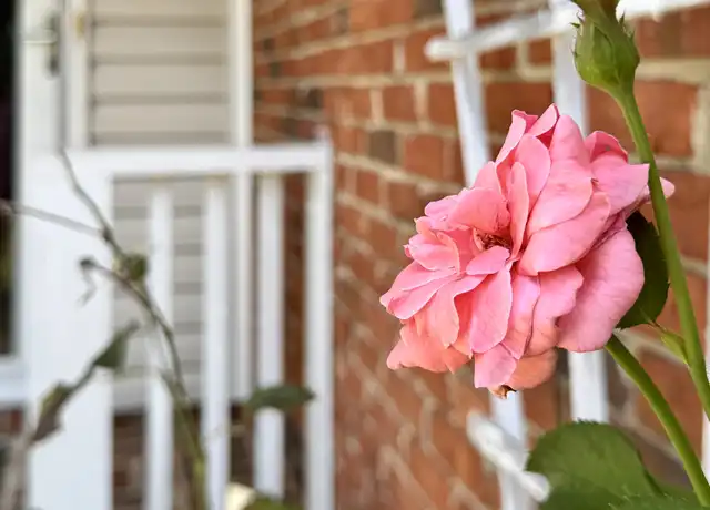 Property at 6319 Olde Towne Dr, Columbus, GA, 31907, 3 beds, 2 baths, [object Object]