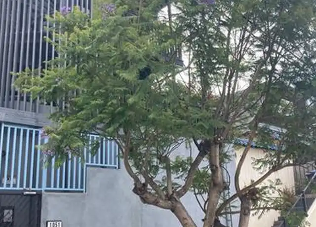 Property at 1051 De Haro St, San Francisco, CA, 94107, 1 bed, 1 bath, [object Object]