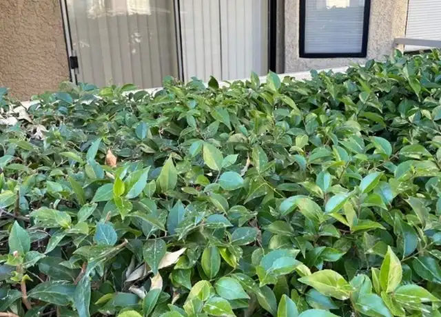 Property at 5038 S Rainbow Blvd #101, Las Vegas, NV, 89118, 3 beds, 2 baths, [object Object]