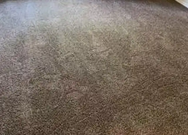 Property at 4405 Jenkins St, The Colony, TX, 75056, 3 beds, 1 bath, [object Object]